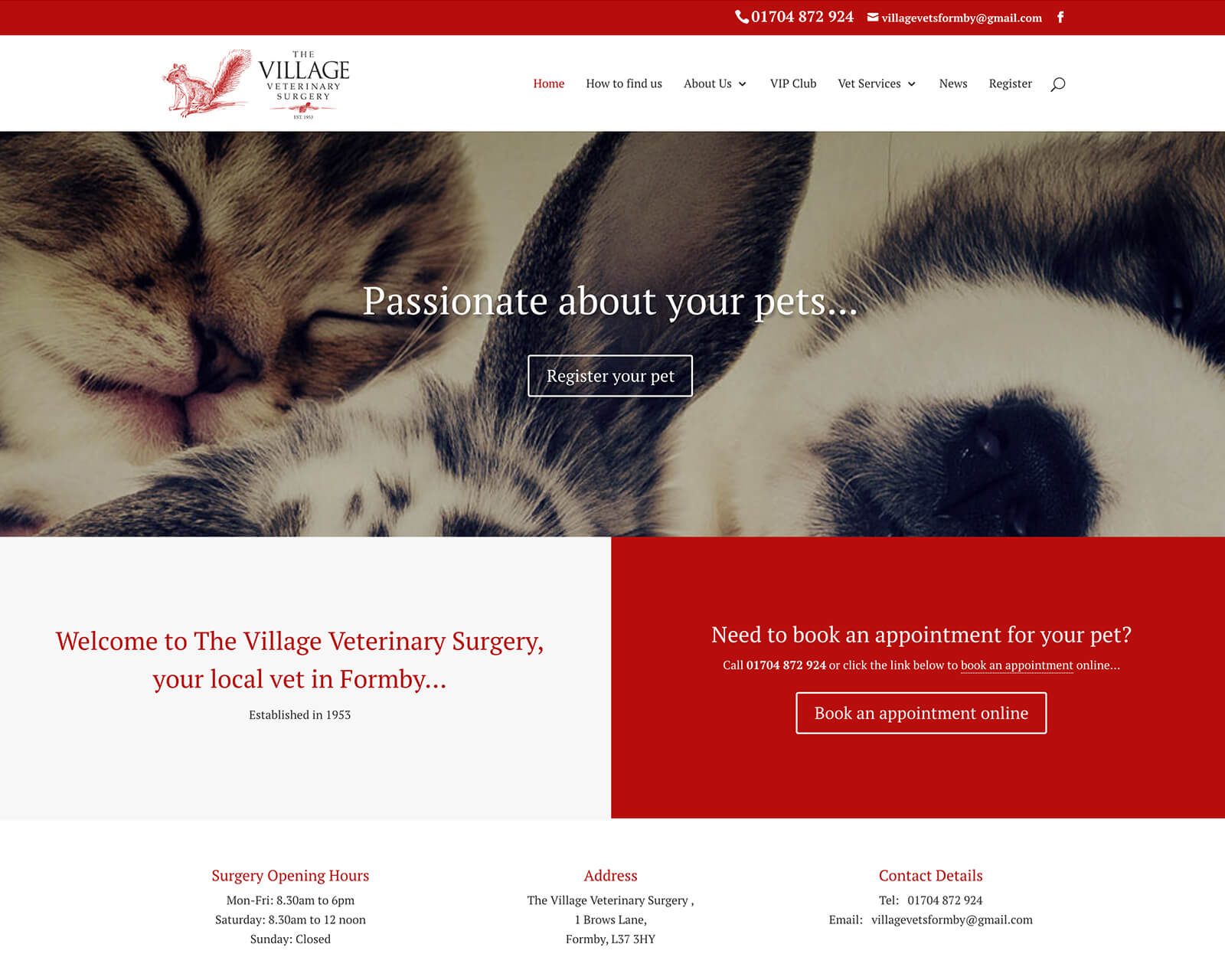Vet site design Village Vets, Formby