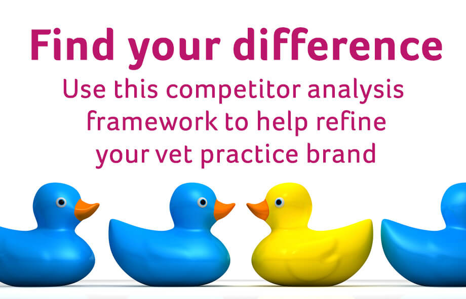 Use this quick competitor analysis framework to refine your vet brand