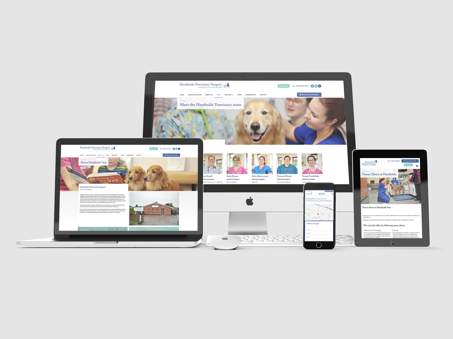 Heathside Vets site Design Project Vet Success